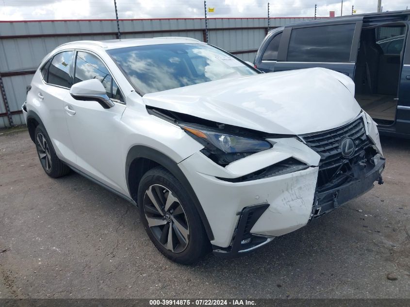 2019 LEXUS NX 300 BASE/300 F SPORT