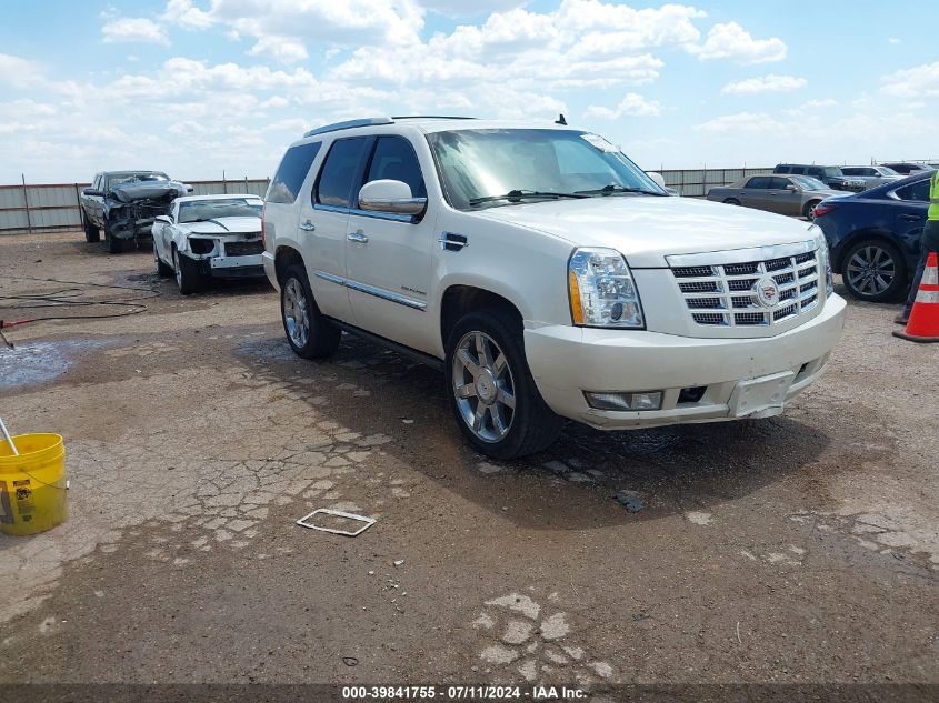 2010 CADILLAC ESCALADE PREMIUM