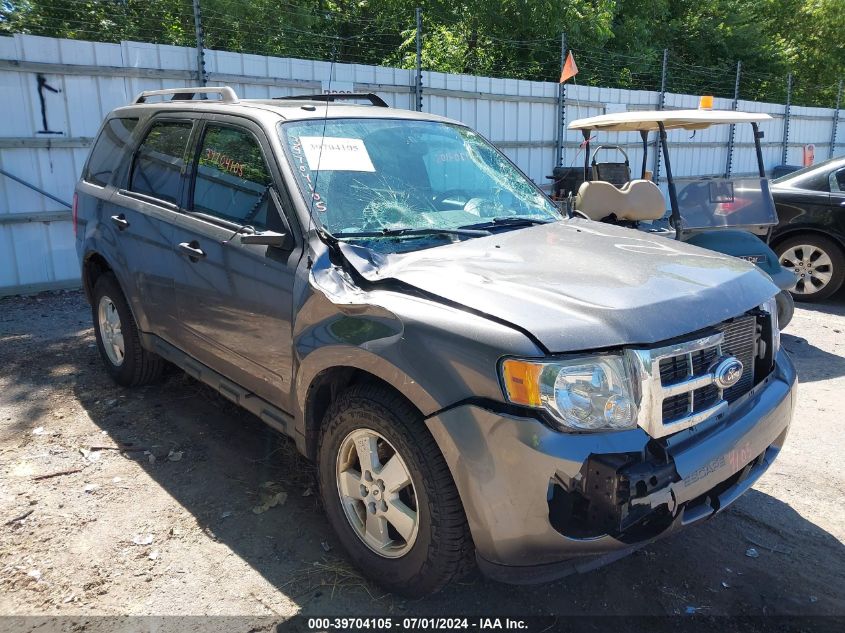 2011 FORD ESCAPE XLT