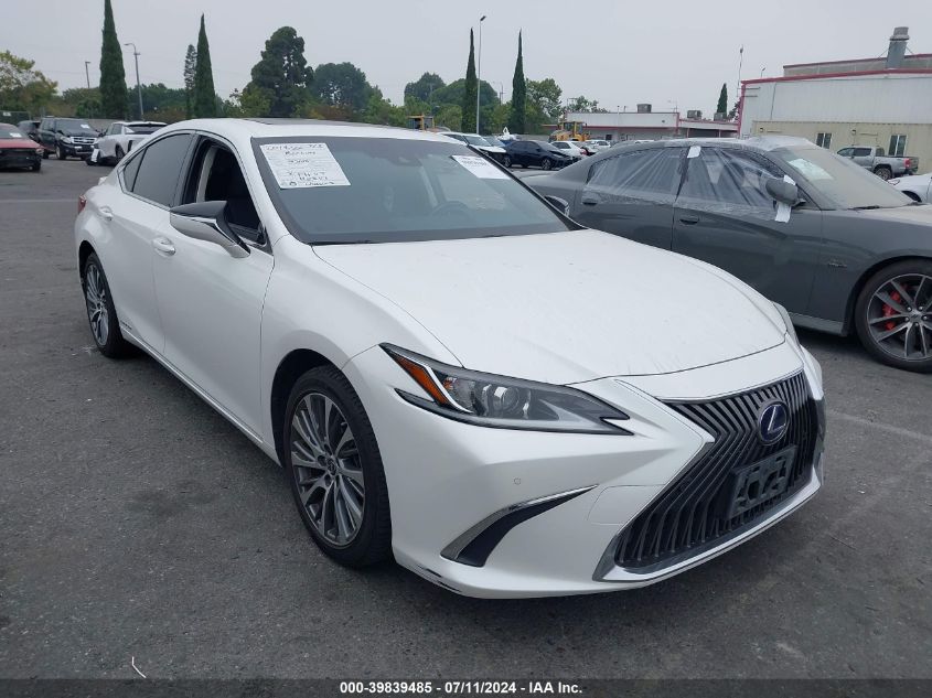 2019 LEXUS ES 300H