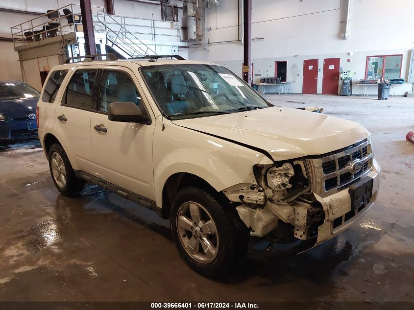 2011 FORD ESCAPE XLT