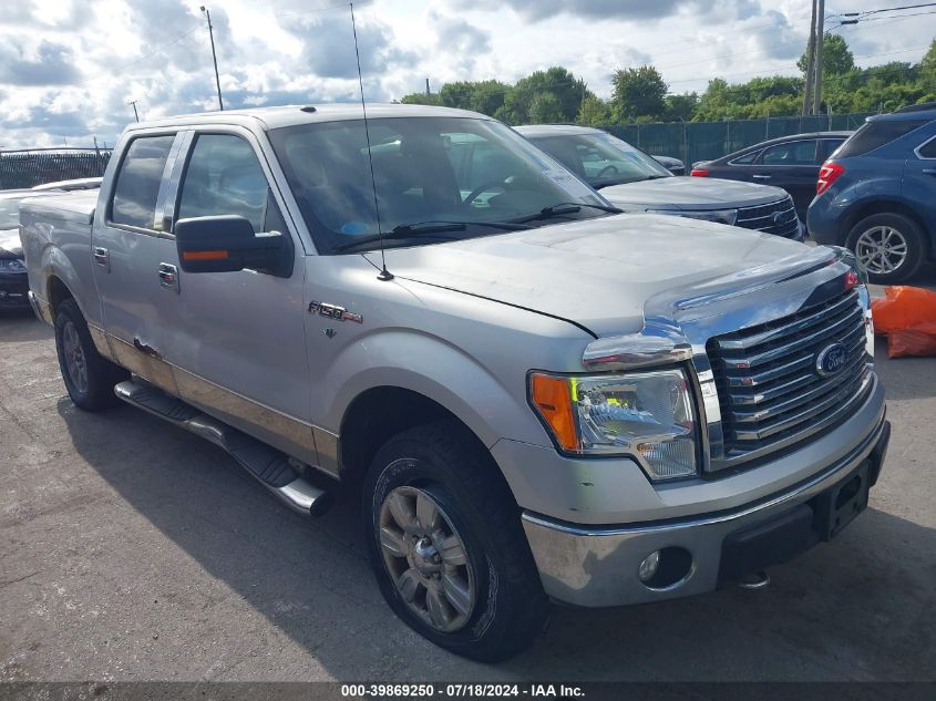 2010 FORD F-150 XL/XLT