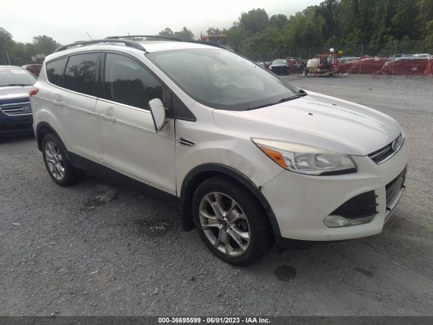 2013 FORD ESCAPE SEL