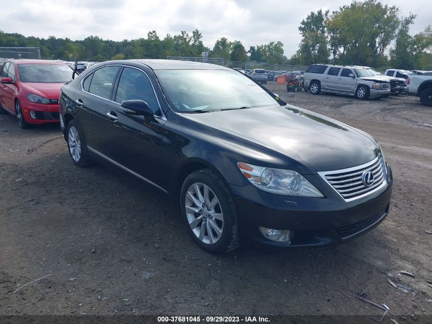 2010 LEXUS LS 460