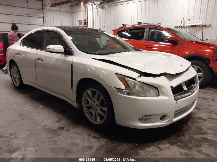 2011 NISSAN MAXIMA 3.5 SV