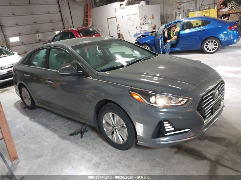 2019 HYUNDAI SONATA HYBRID SE