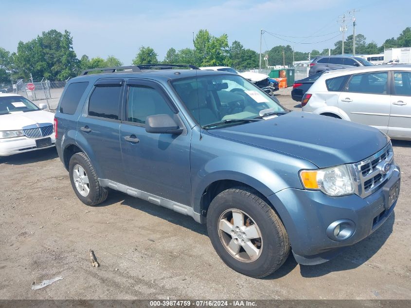 2010 FORD ESCAPE XLT