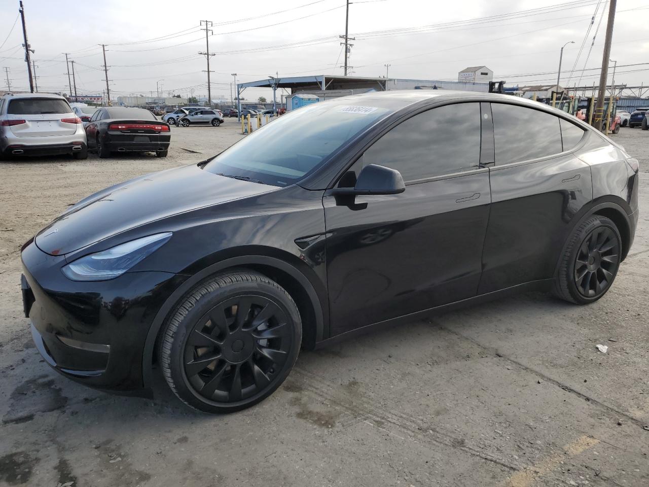 2021 TESLA MODEL Y