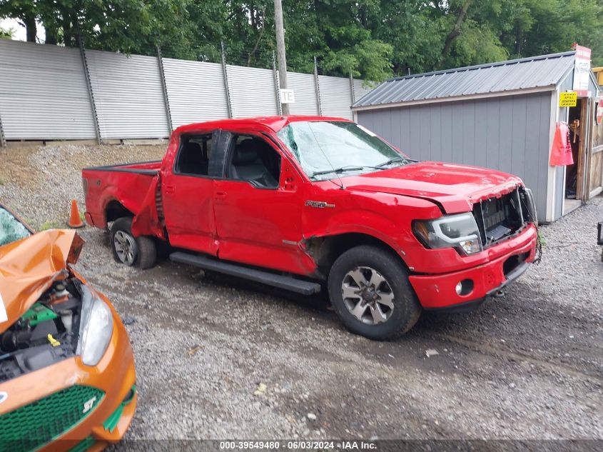 2013 FORD F-150 FX4