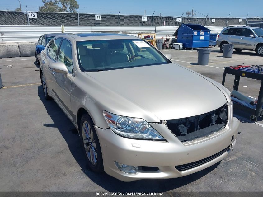 2010 LEXUS LS 460