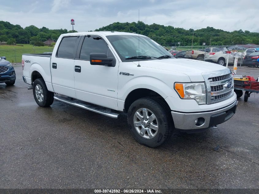 2014 FORD F-150 XLT