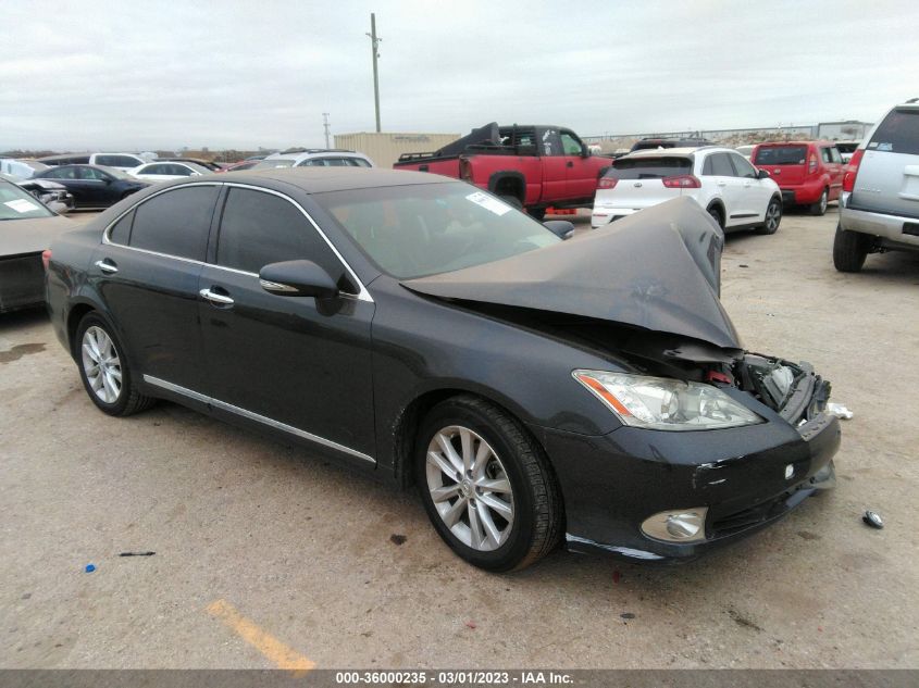 2010 LEXUS ES 350