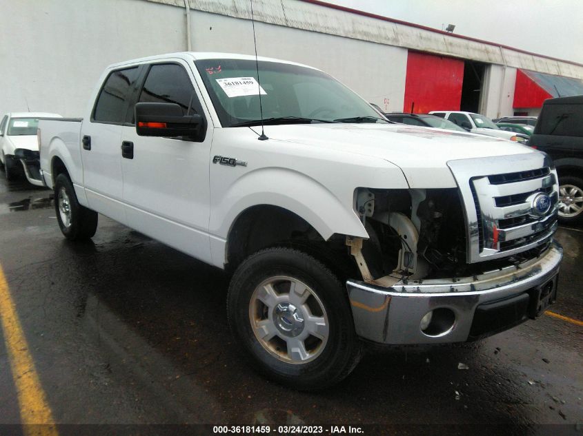 2010 FORD F-150 XL/XLT/FX2 SPORT