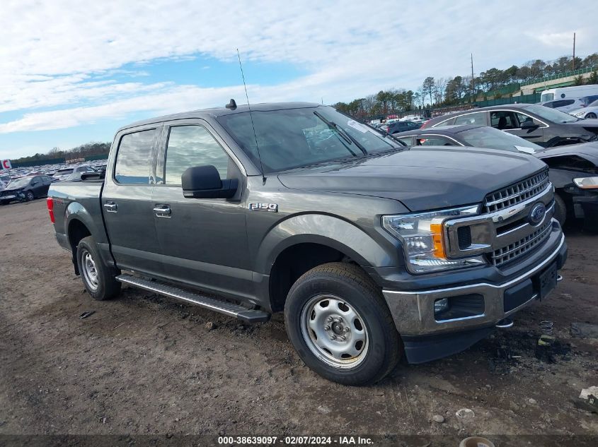 2019 FORD F-150 XLT