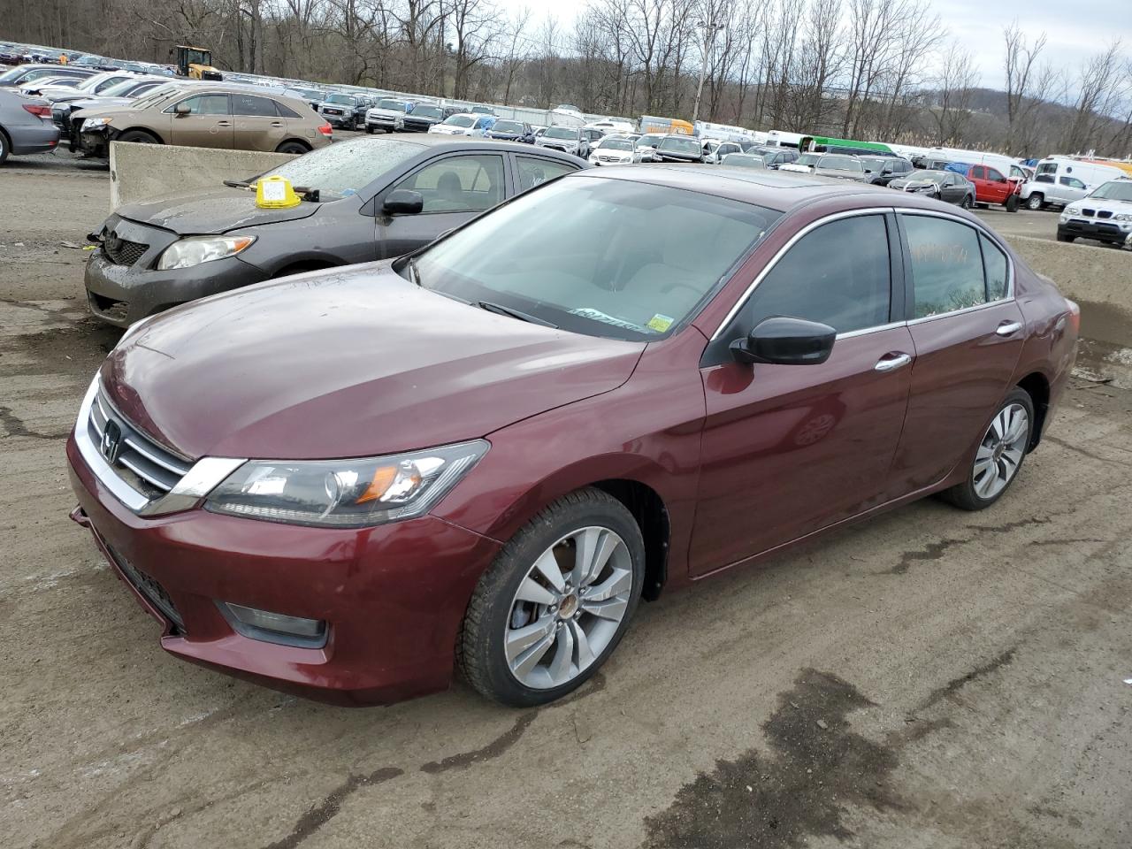 2014 HONDA ACCORD EX