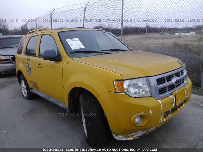 2010 FORD ESCAPE XLT