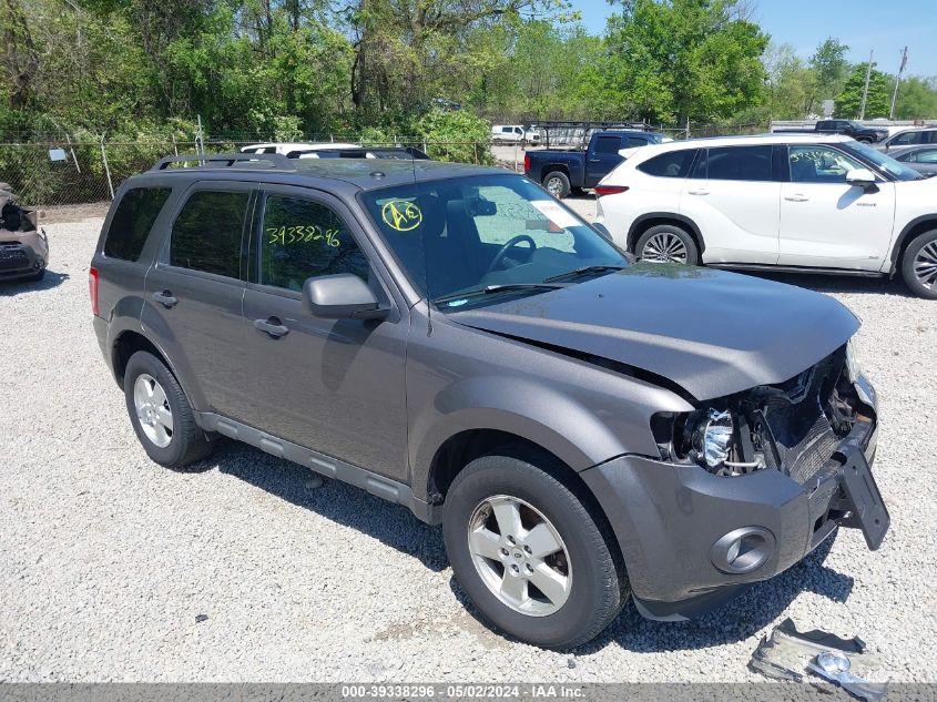 2011 FORD ESCAPE XLT