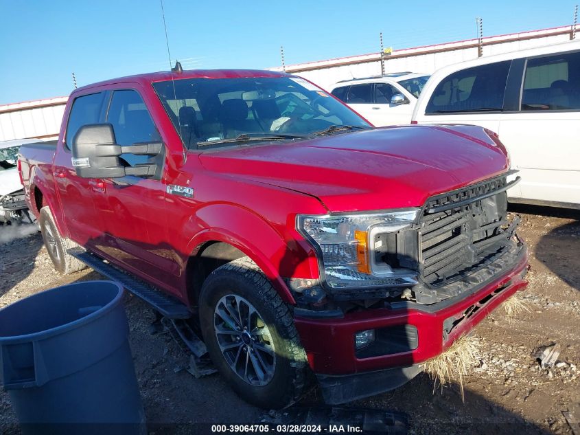 2019 FORD F-150 XLT