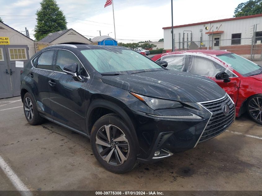 2021 LEXUS NX 300H BASE/300H LUXURY/300H F SPORT BLACK LINE