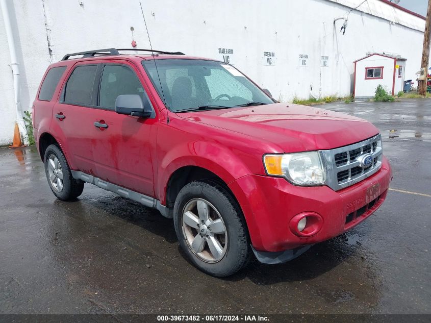 2010 FORD ESCAPE XLT