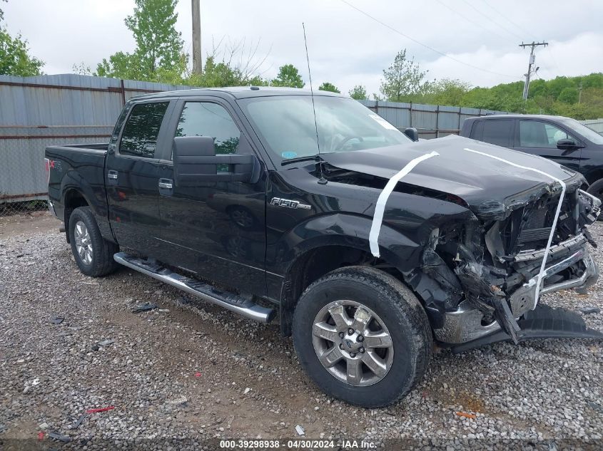 2013 FORD F-150 XLT