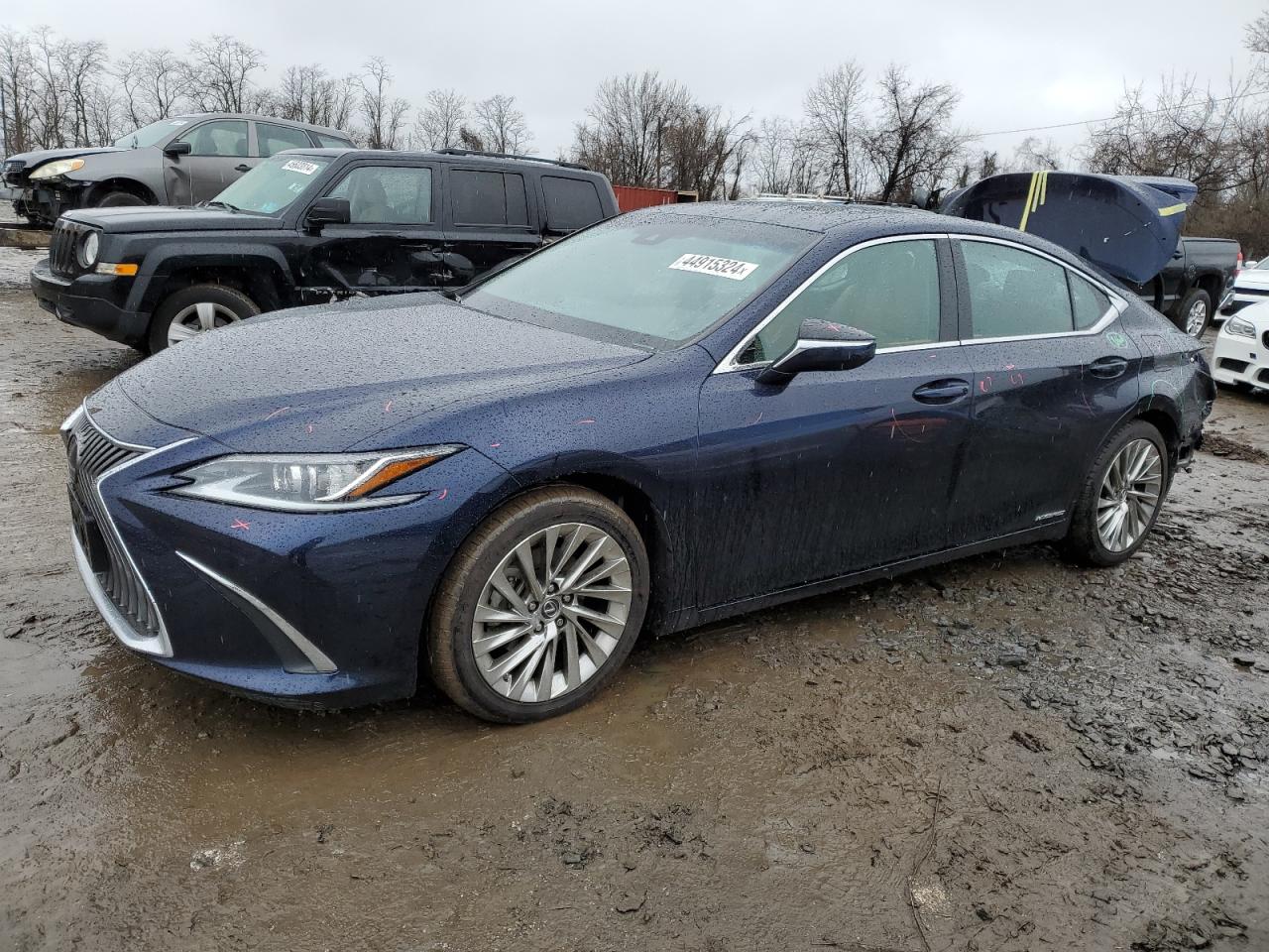 2019 LEXUS ES 300H