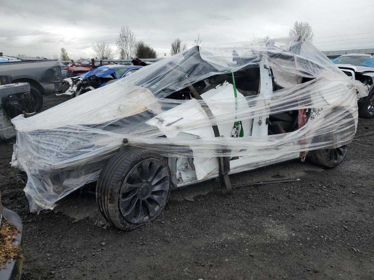 2021 TESLA MODEL Y