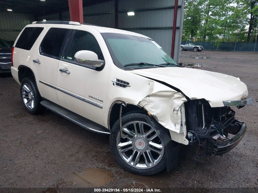 2010 CADILLAC ESCALADE STANDARD