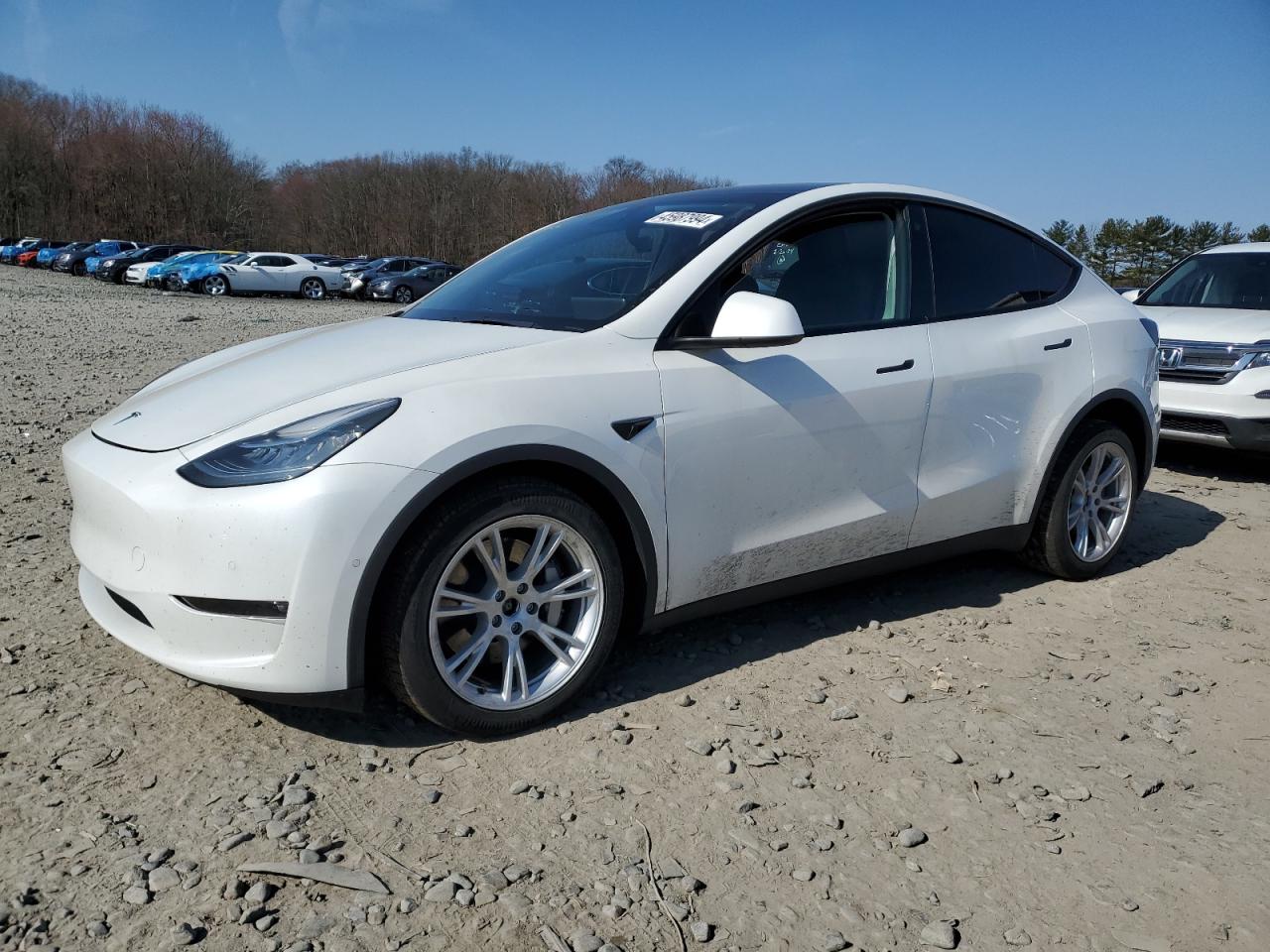 2021 TESLA MODEL Y