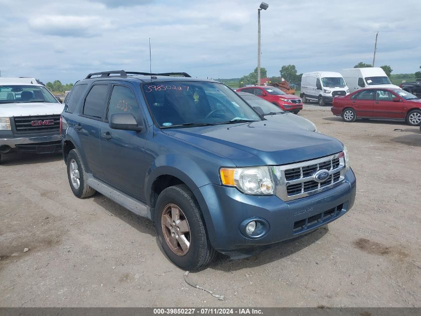 2010 FORD ESCAPE XLT