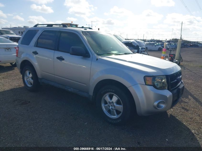 2011 FORD ESCAPE XLT