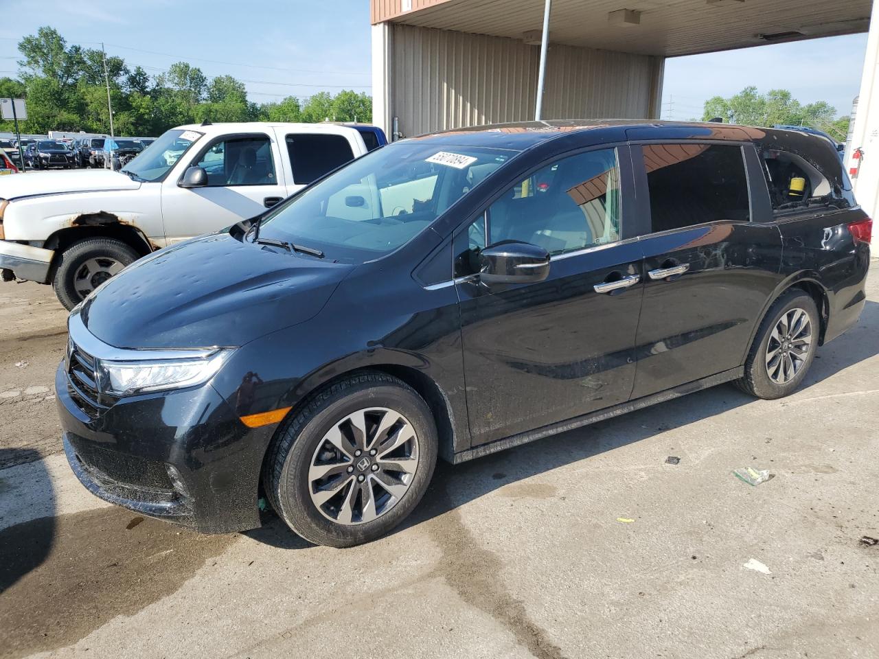 2022 HONDA ODYSSEY EXL