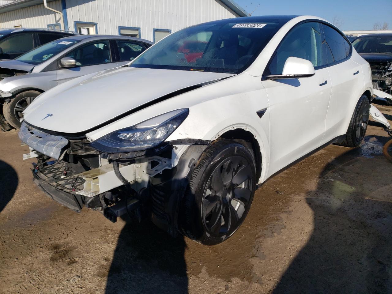 2021 TESLA MODEL Y