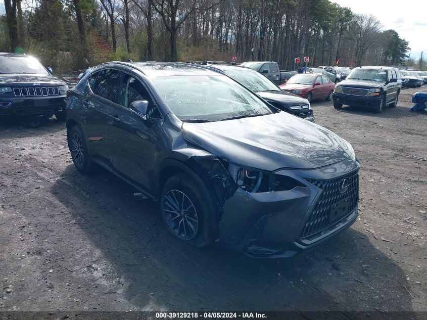 2024 LEXUS NX 350 PREMIUM