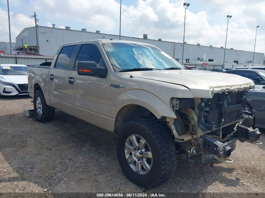 2010 FORD F-150 SUPERCREW