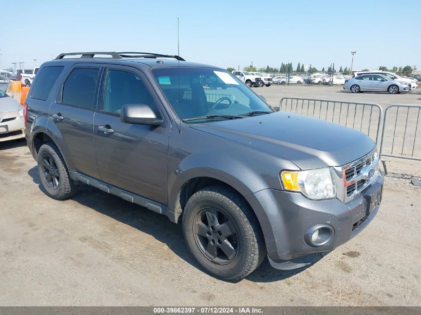 2011 FORD ESCAPE XLT