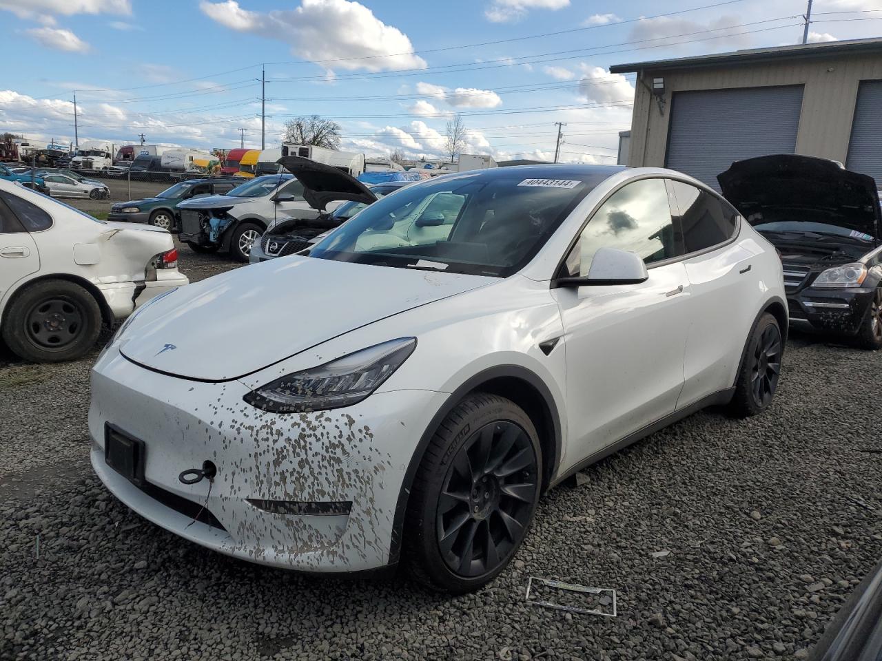 2021 TESLA MODEL Y