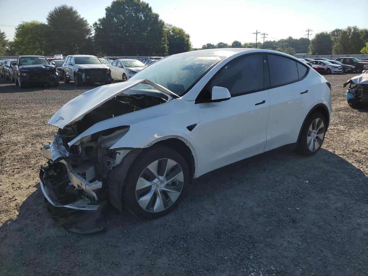 2021 TESLA MODEL Y