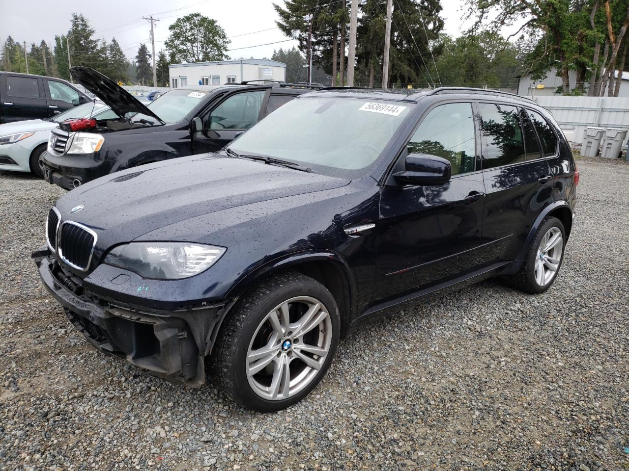 2011 BMW X5 M