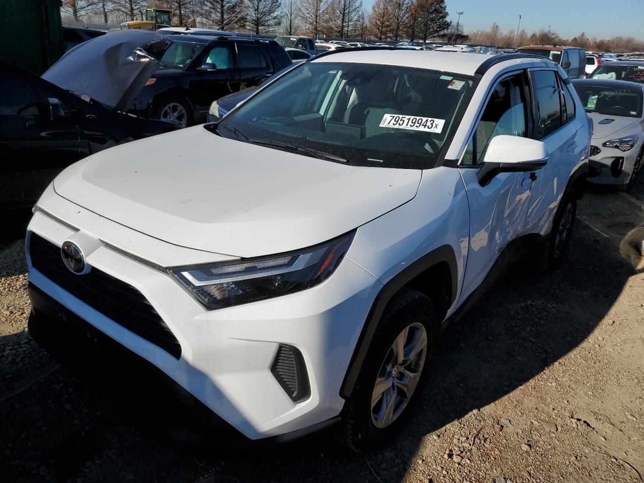 2023 TOYOTA RAV4 XLE