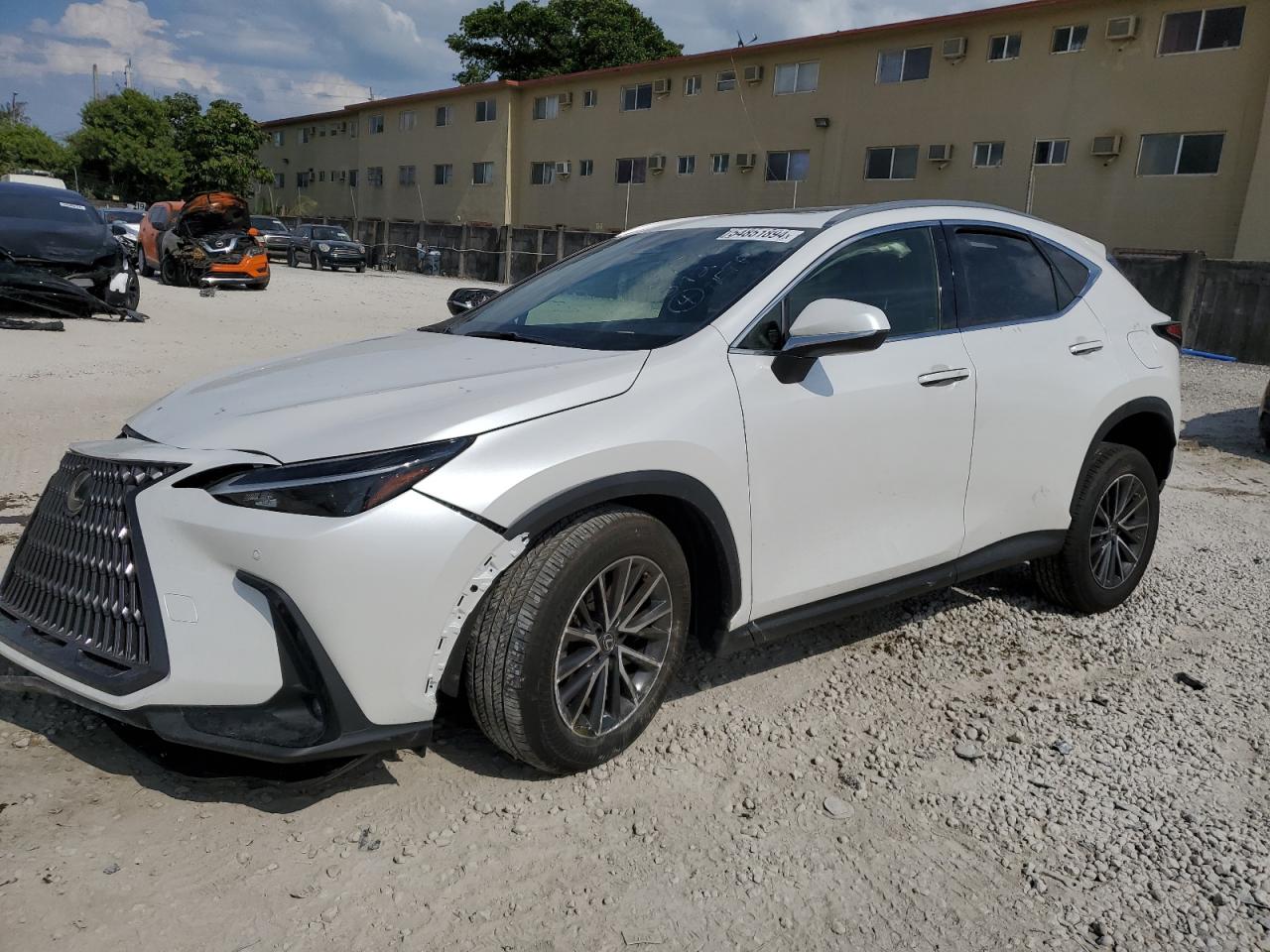 2023 LEXUS NX 250