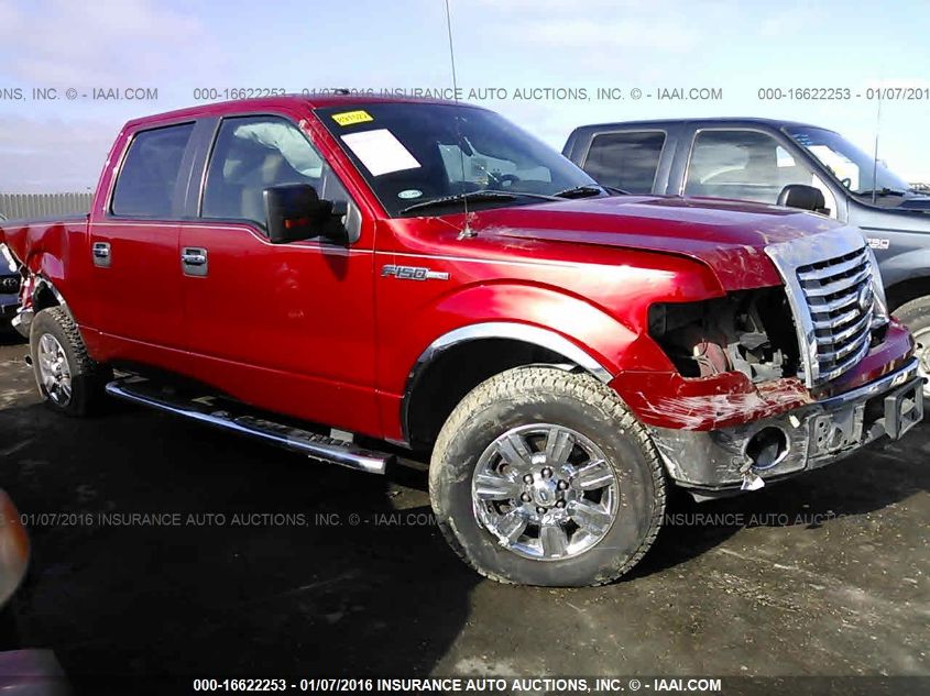 2010 FORD F-150 XL/XLT