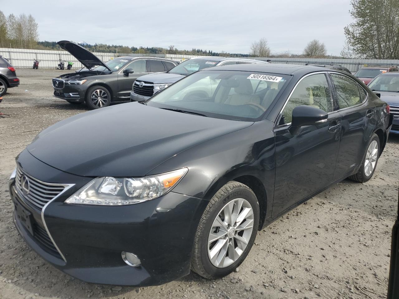 2013 LEXUS ES 300H