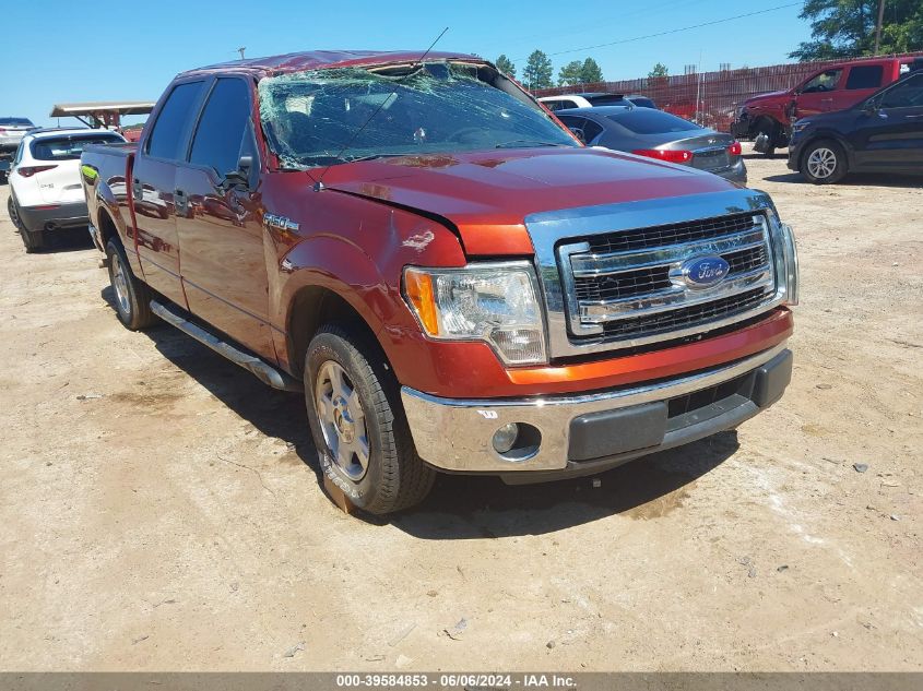 2014 FORD F-150 XLT