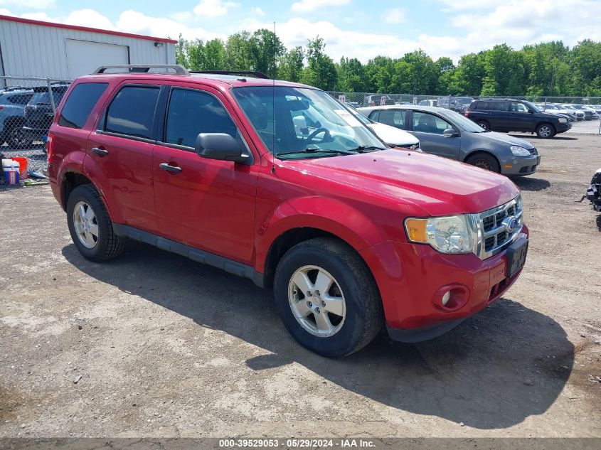 2011 FORD ESCAPE XLT