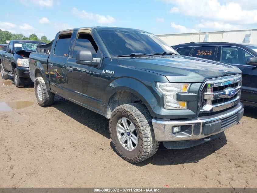 2015 FORD F-150 XLT