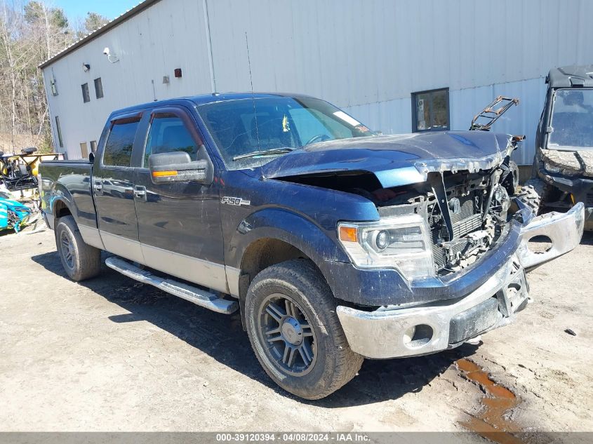 2014 FORD F-150 XLT