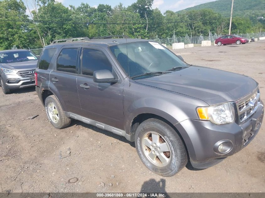 2010 FORD ESCAPE XLT