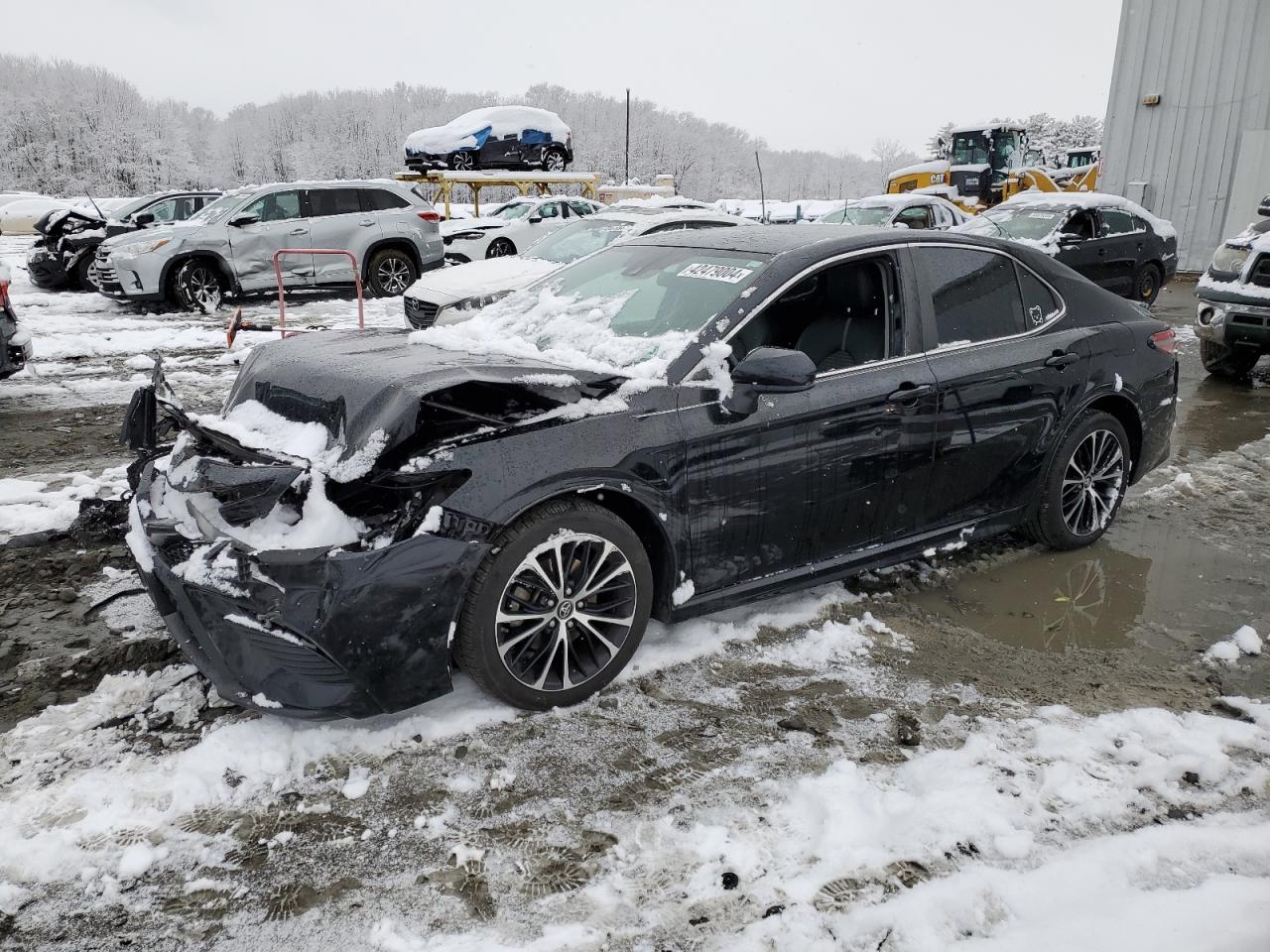 2019 TOYOTA CAMRY L