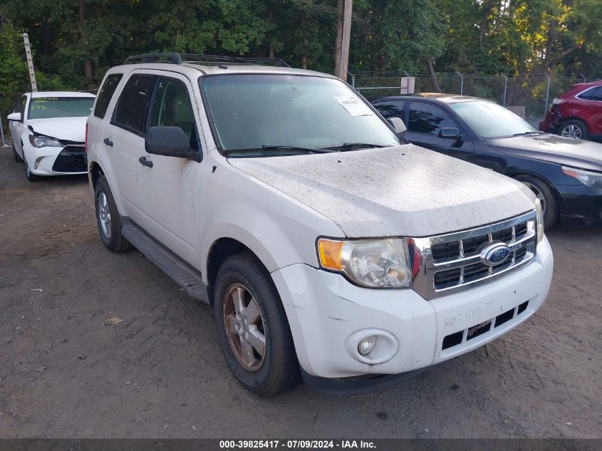 2011 FORD ESCAPE XLT